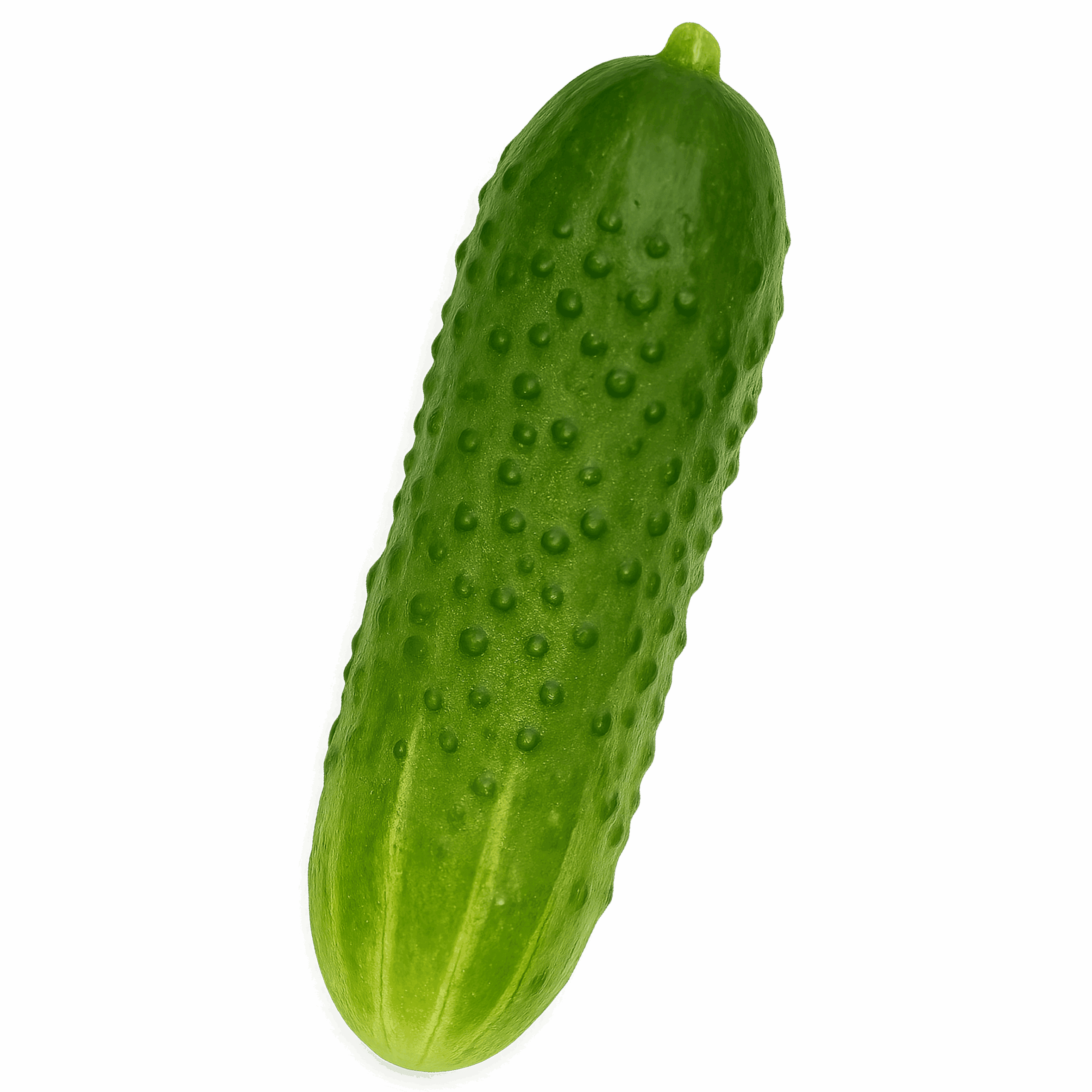 Gherkin