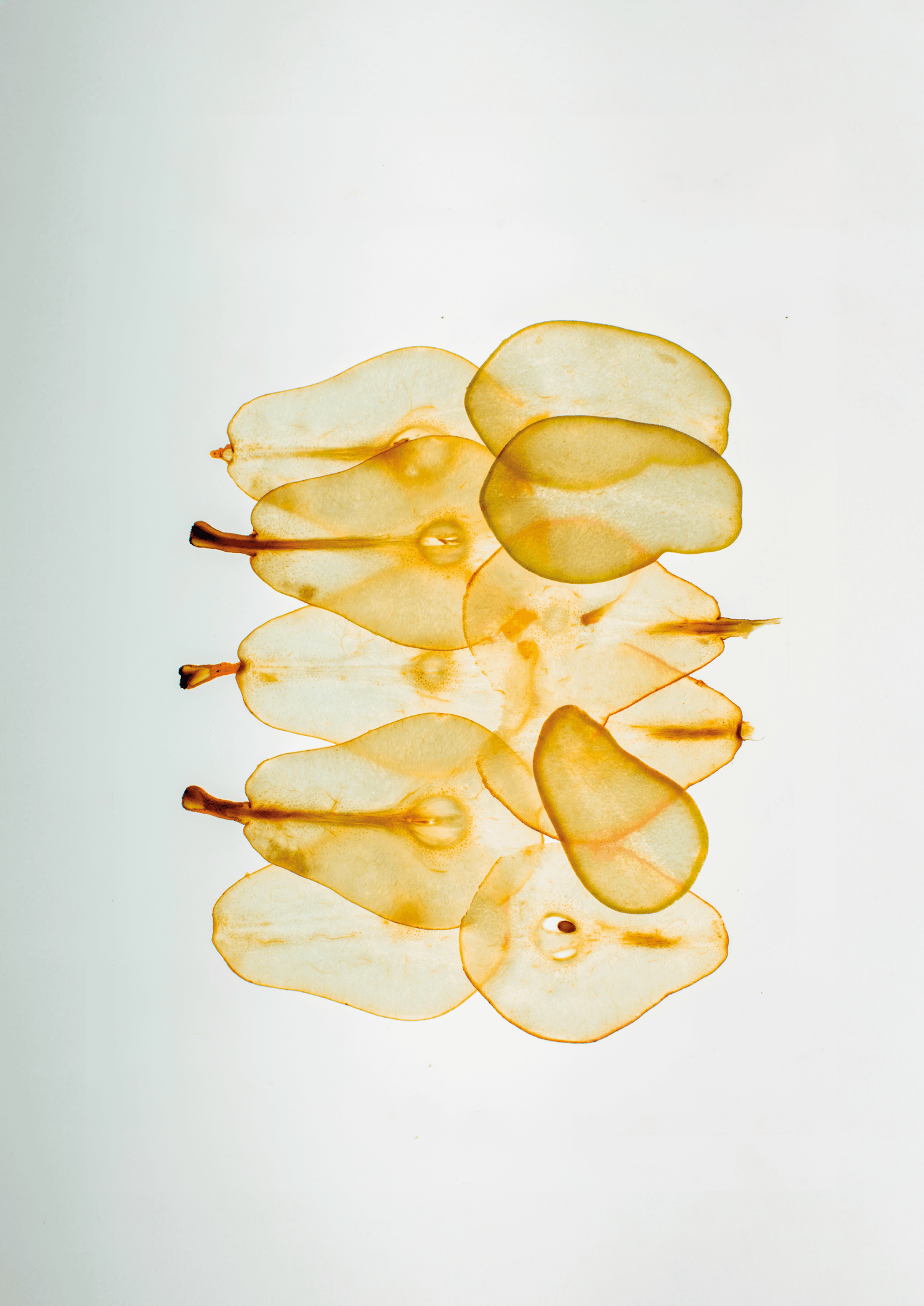 How can we understand the impact of SWITCH activities?