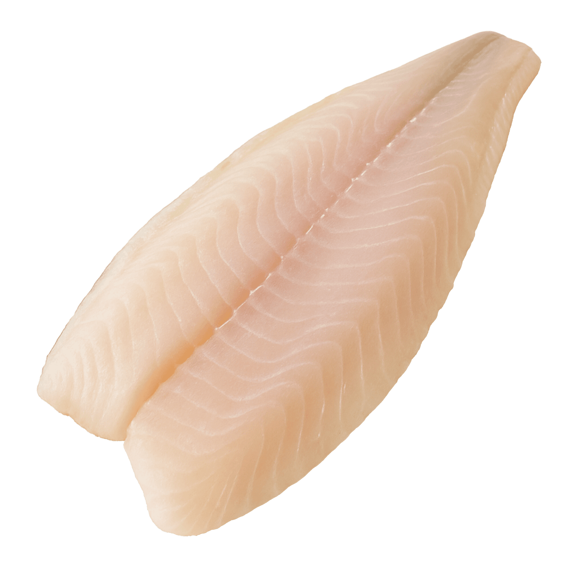 Pangasius