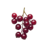 Currants