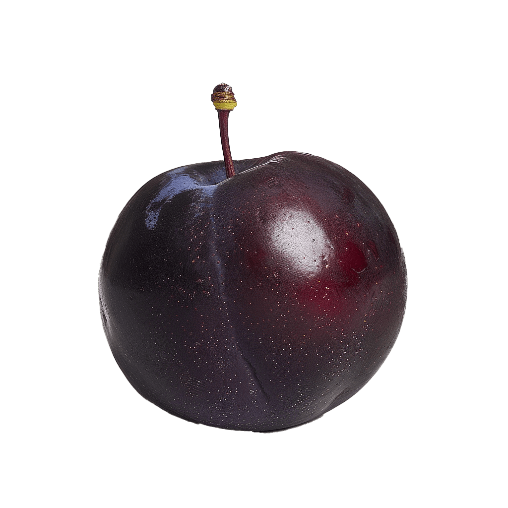 Plum