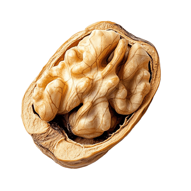 Walnut