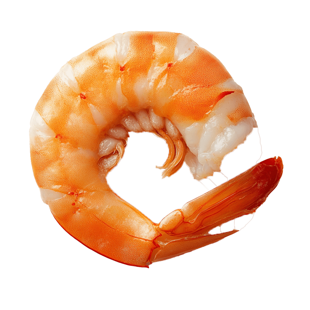 Shrimp – farmed