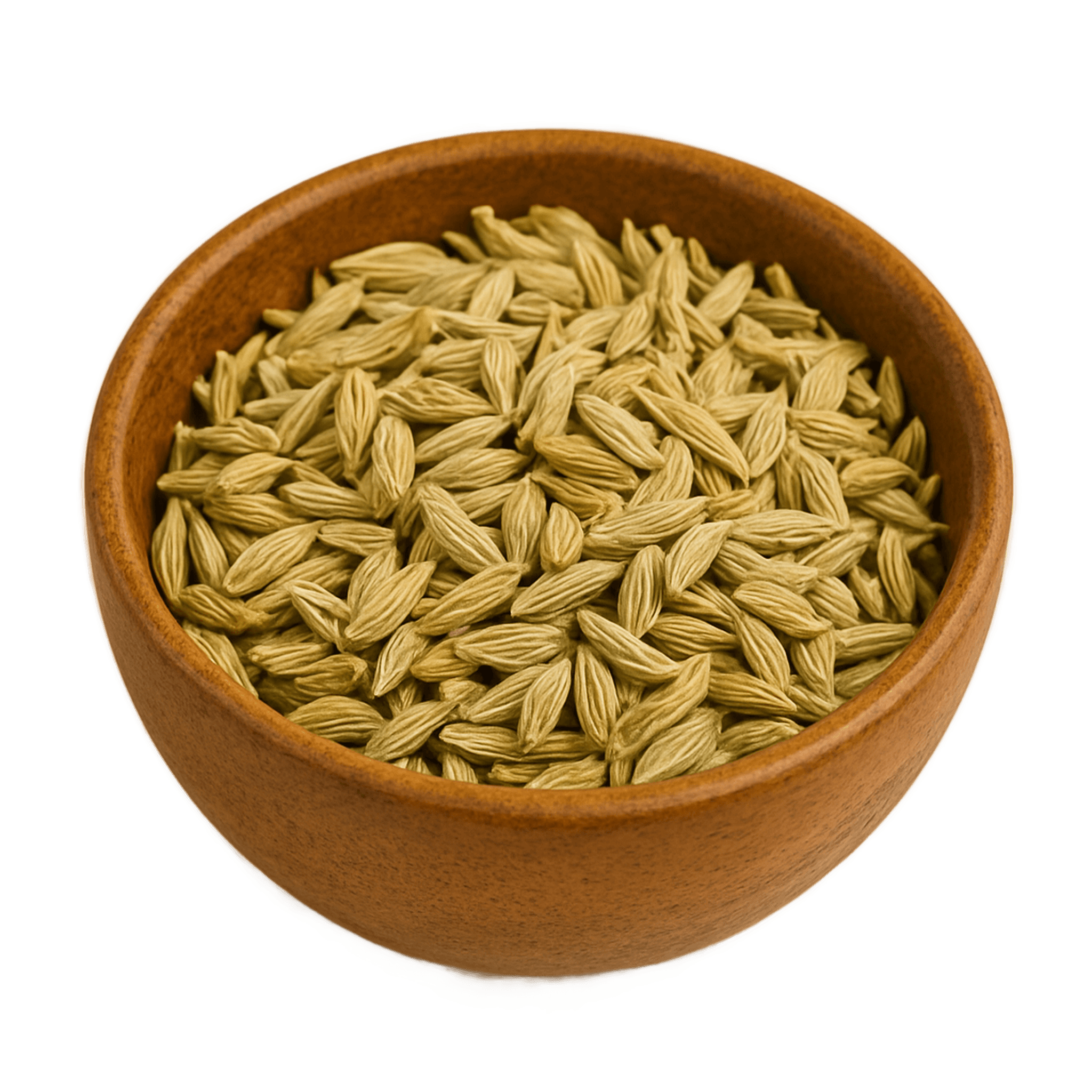 Graine de fenouil