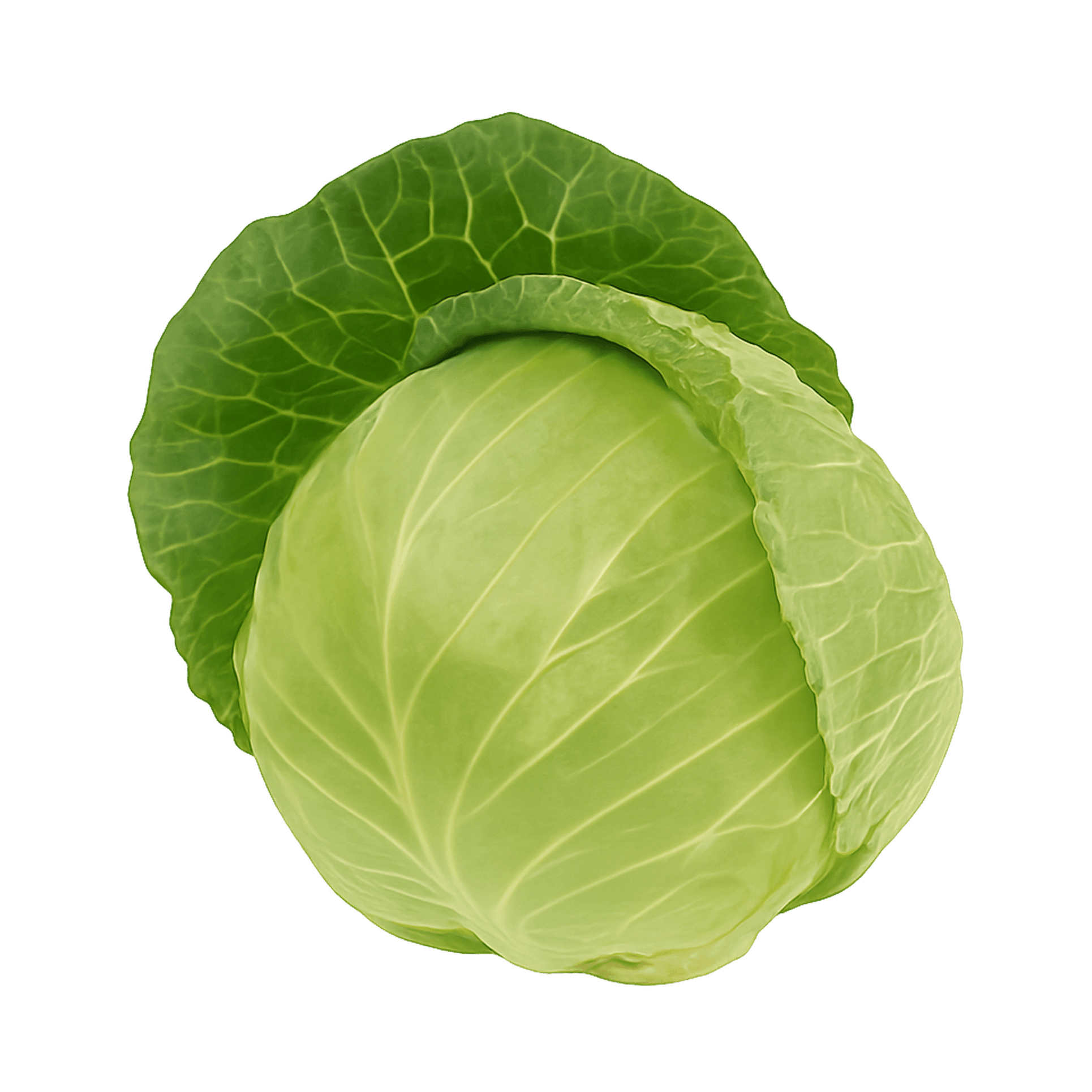 Leafy vegetables