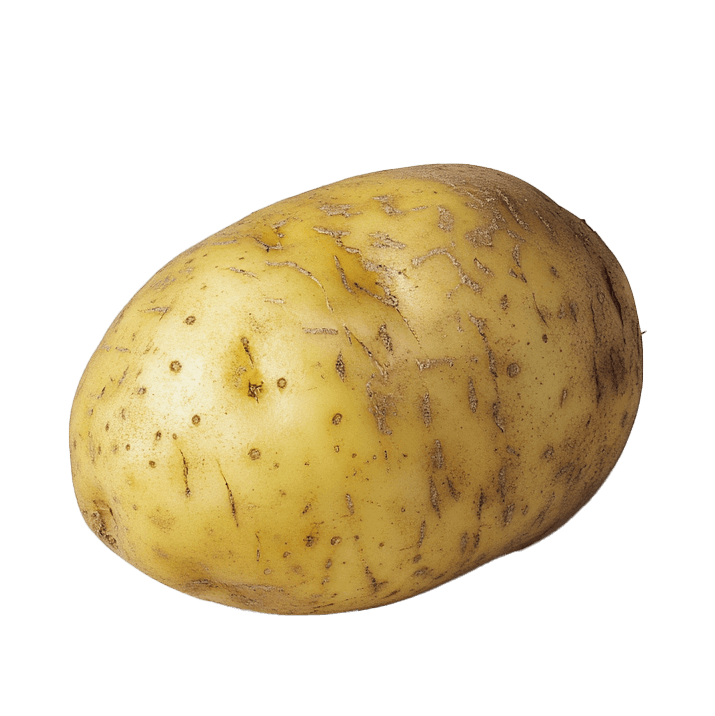 Tubercules amidons