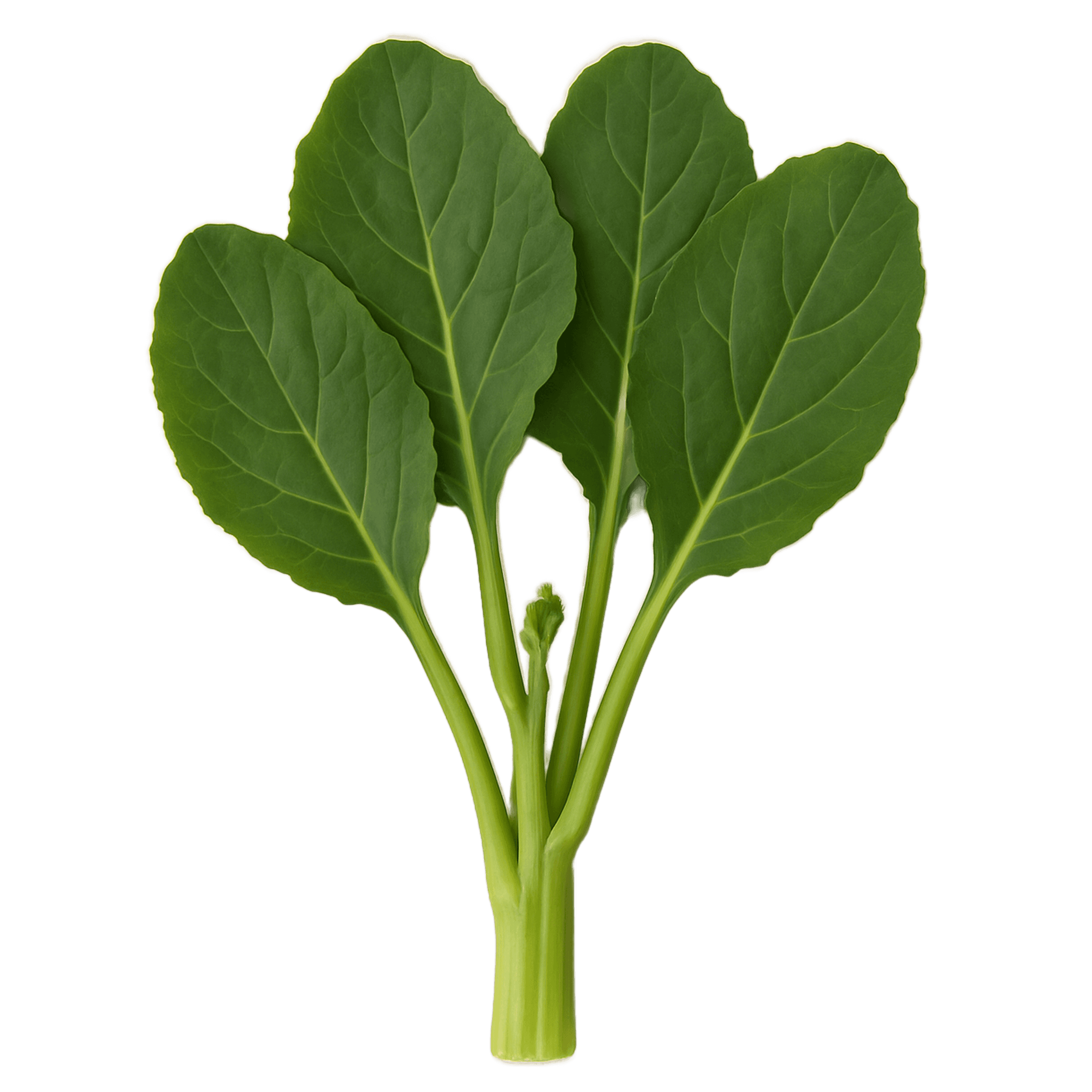Chinese kale