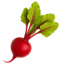 Beetroot