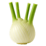 Finocchio