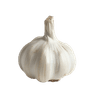 Aglio