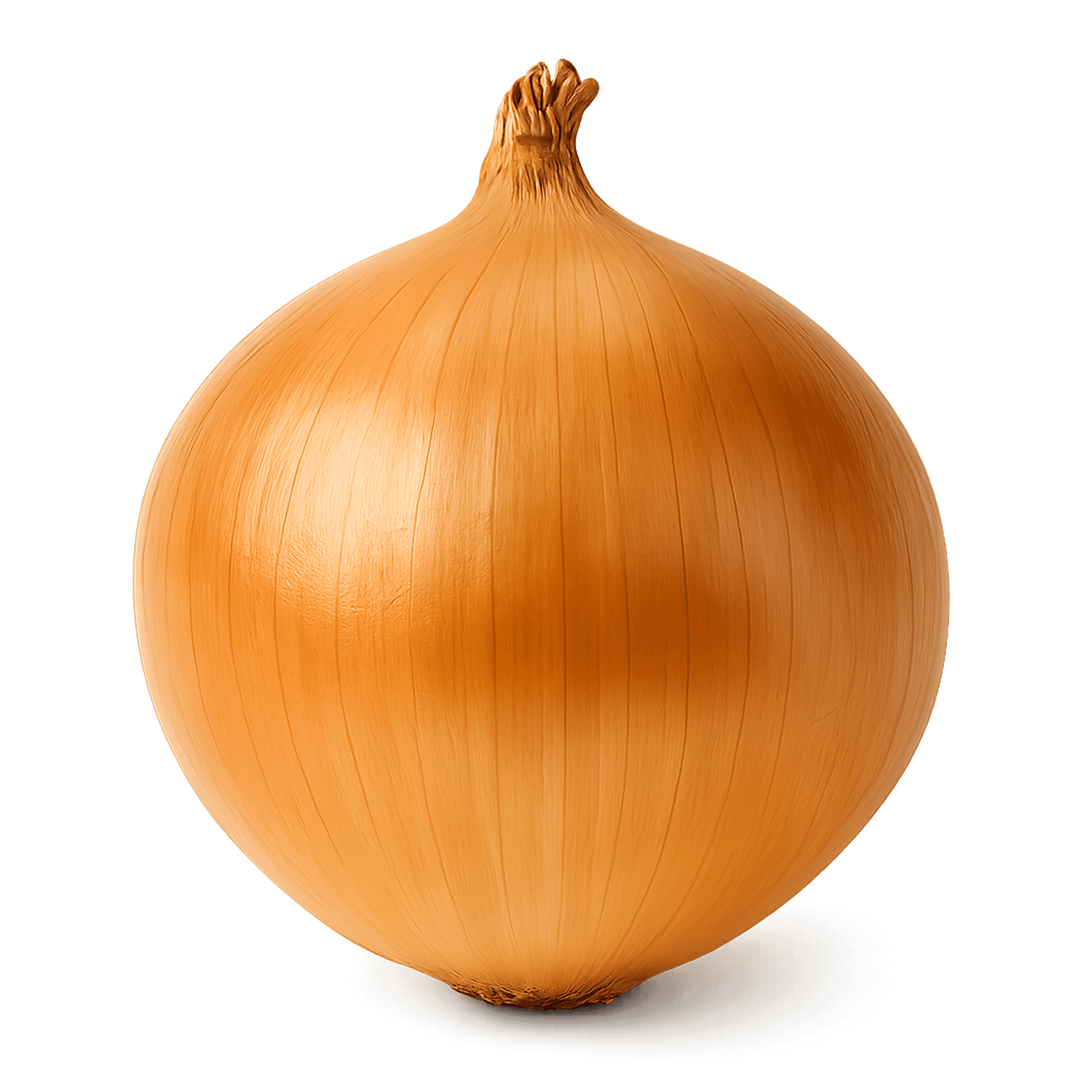 Onion