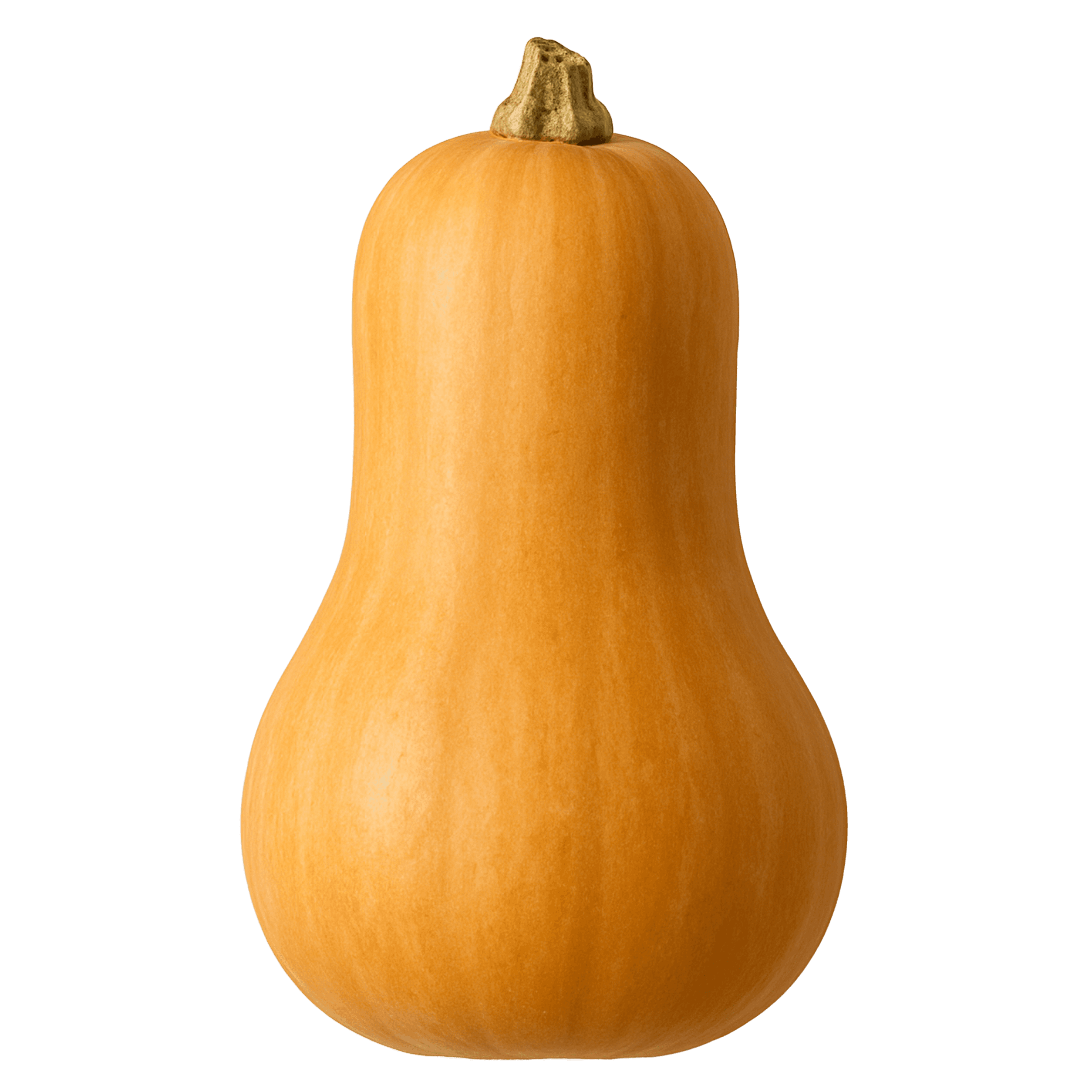 Squash