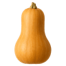 Courge