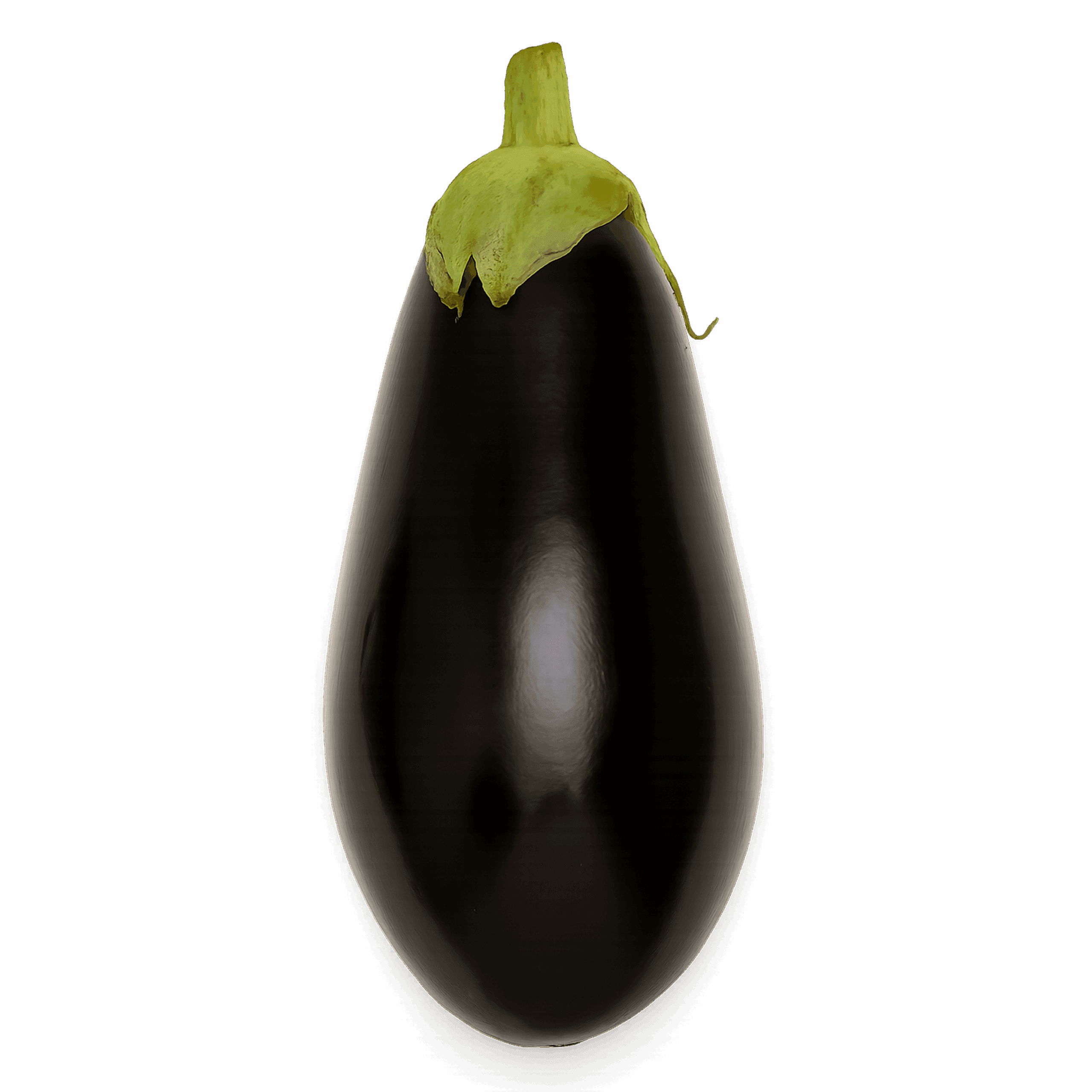 Aubergine