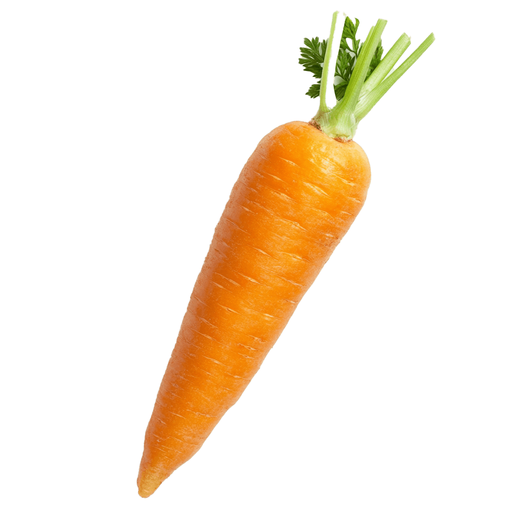 Carrot
