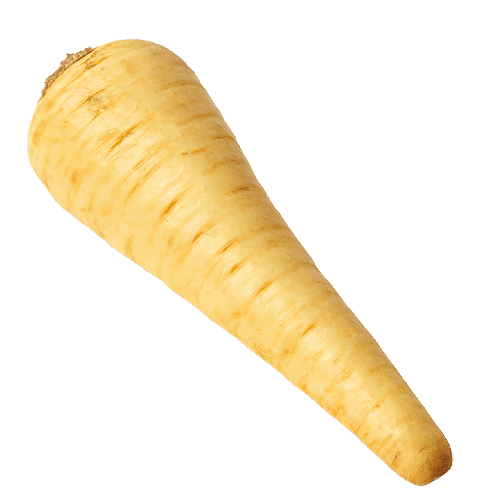 Parsnip
