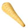 Palsternacka