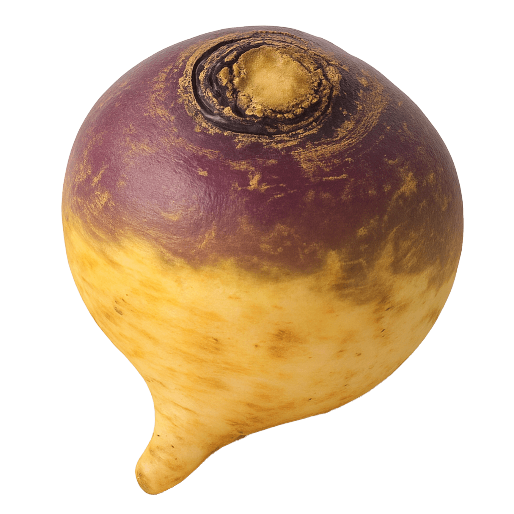 Rutabaga