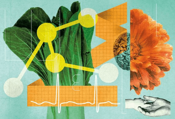 Defining the SWITCH Diet